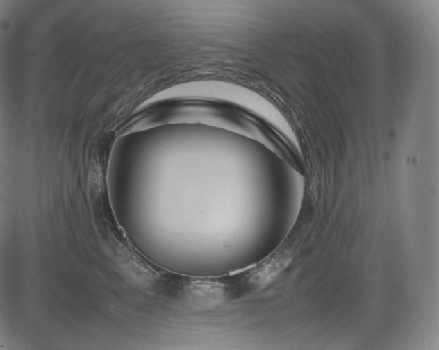 X0000085310617200703091447