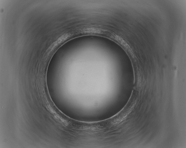 X0000085310625200703091446