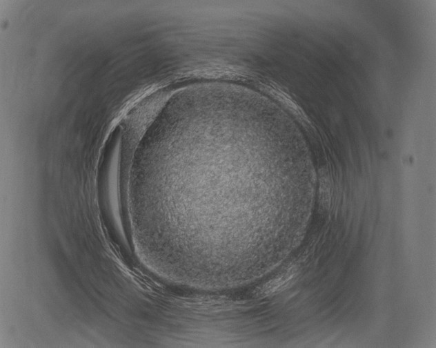 X0000085310626200703091446