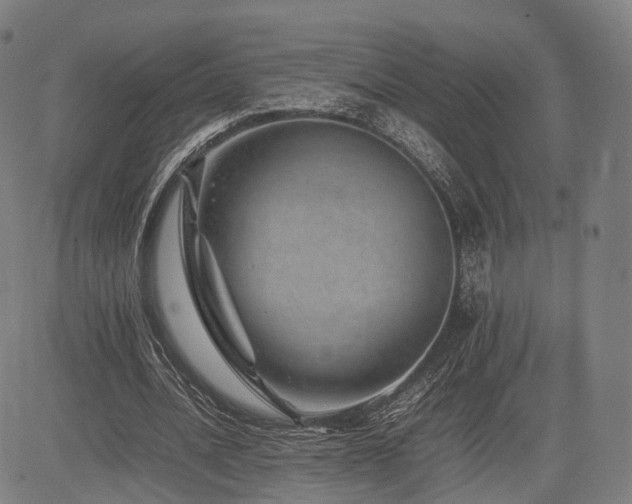X0000085310628200703091446
