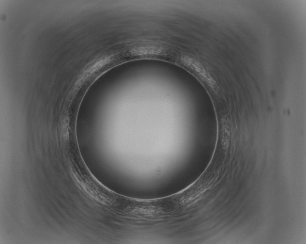 X0000085310631200703091446