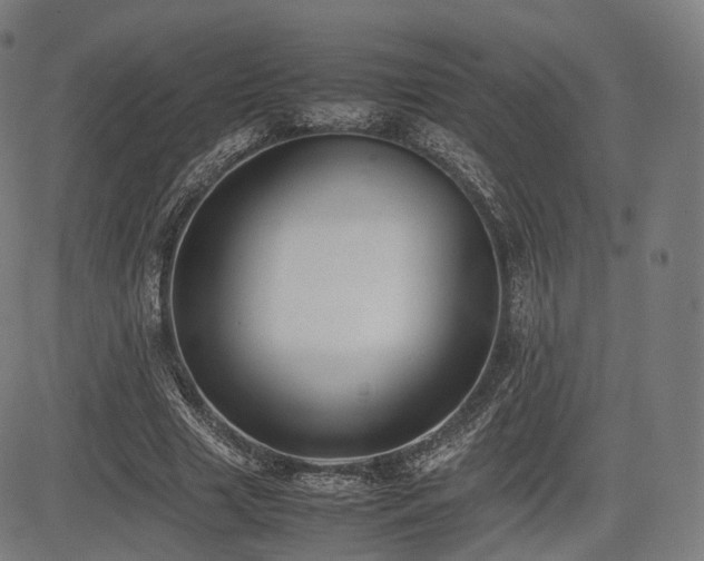 X0000085310633200703091447