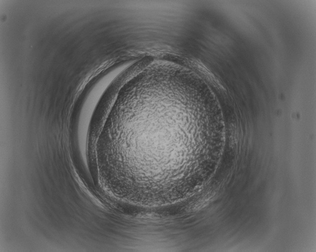 X0000085310634200703091447