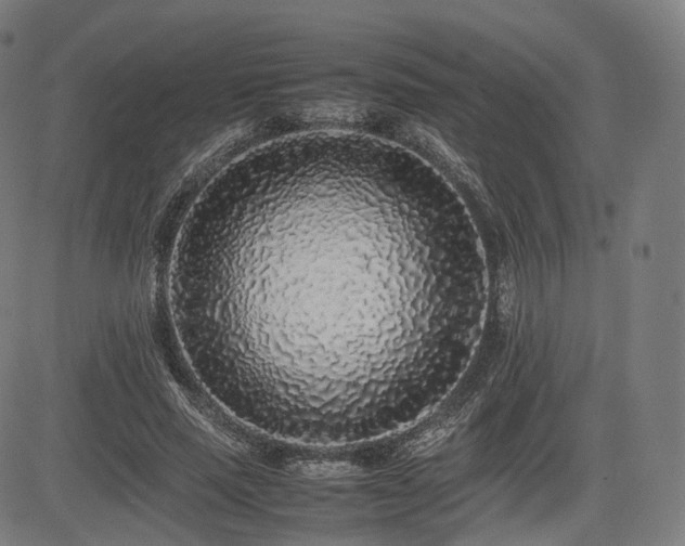 X0000085310637200703091447