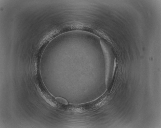 X0000085310638200703091447
