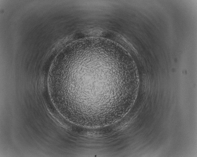 X0000085310641200703091447