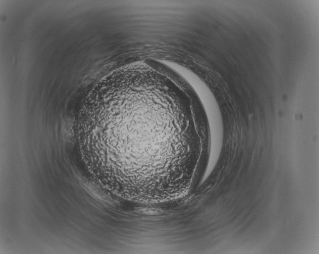 X0000085310654200703091447