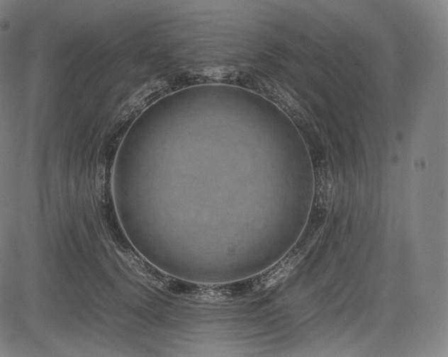 X0000085310656200703091447
