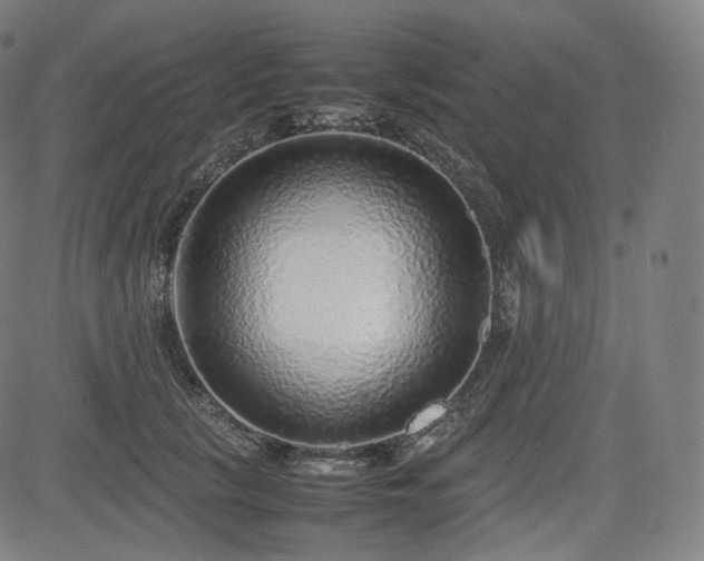 X0000085310657200703091447