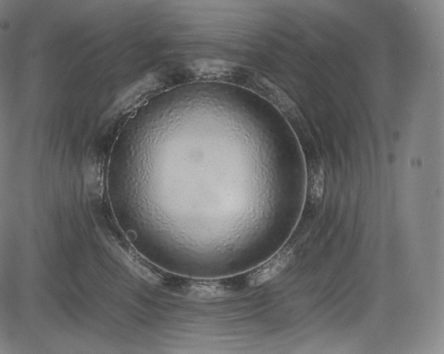 X0000085310666200703091447