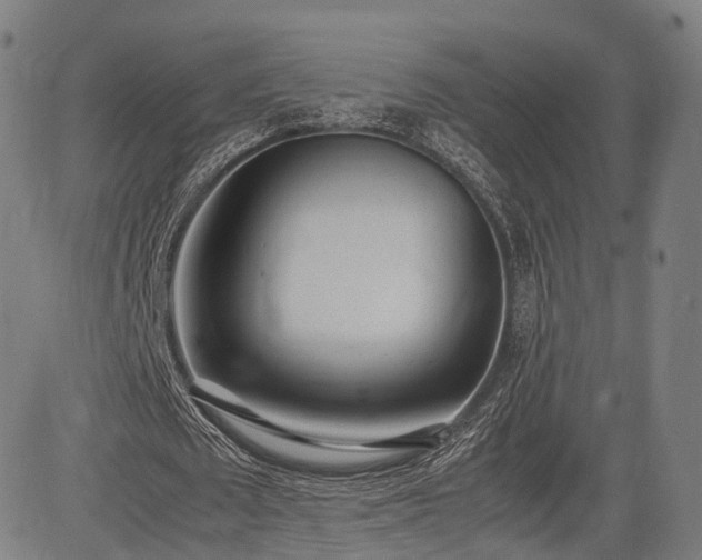 X0000085310673200703091446