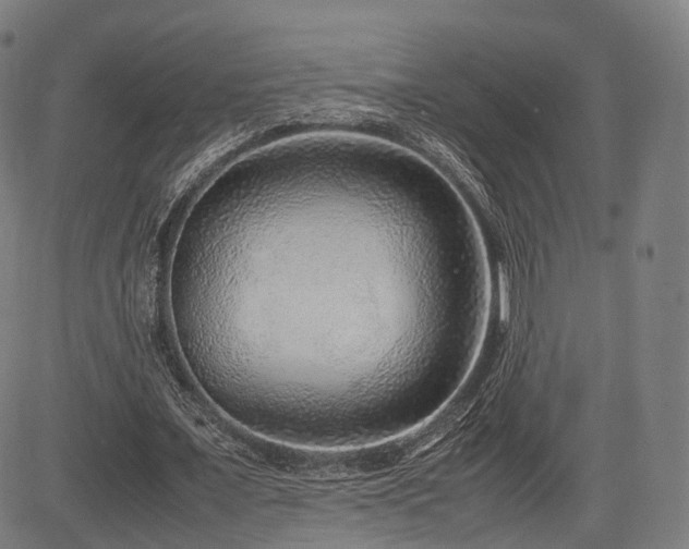 X0000085310675200703091446