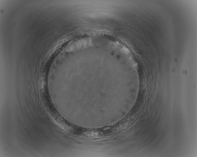 X0000085310687200703091446