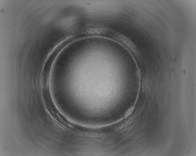 X0000085310722200703091445