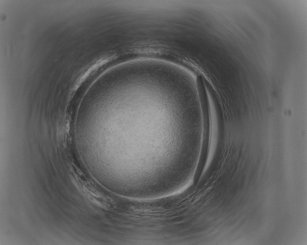 X0000085310723200703091445