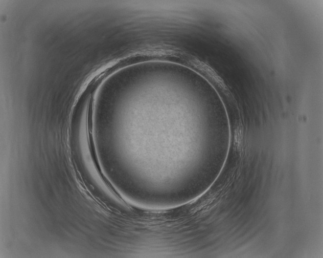 X0000085310724200703091445