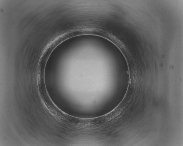 X0000085310728200703091445
