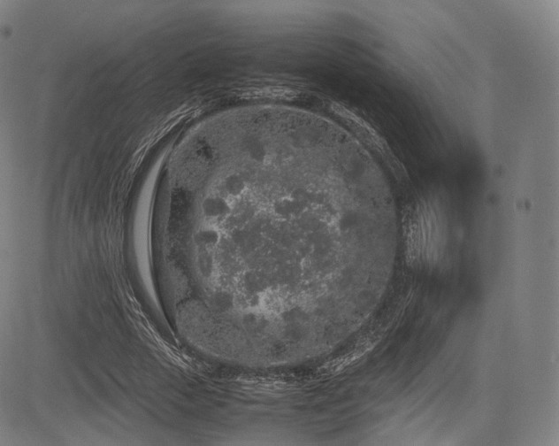 X0000085310729200703091445