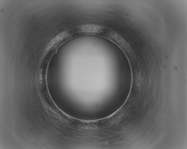 X0000085310731200703091445