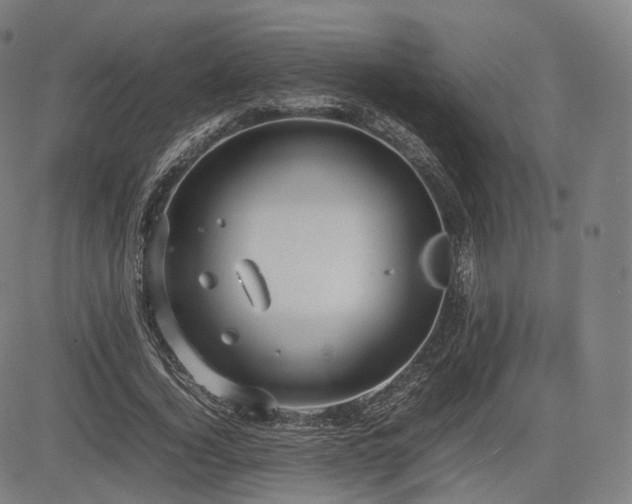 X0000085310732200703091445