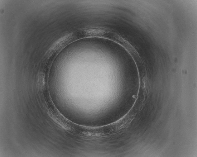 X0000085310733200703091445