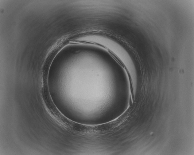 X0000085310734200703091445