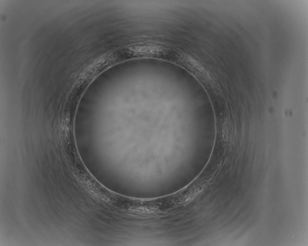 X0000085310737200703091445