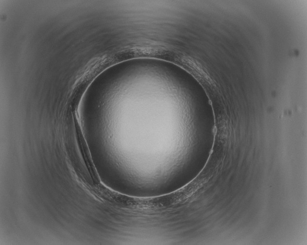 X0000085310738200703091445