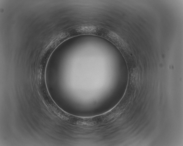 X0000085310739200703091445