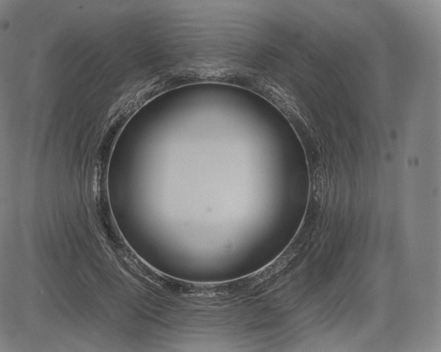 X0000085310740200703091445