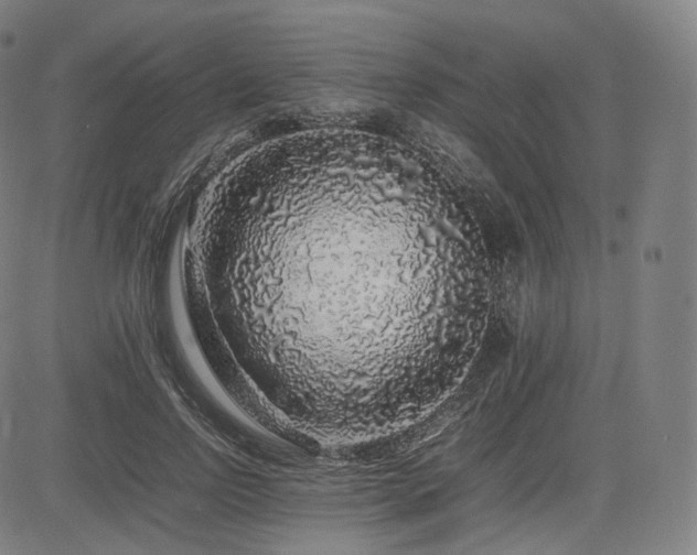 X0000085310742200703091445