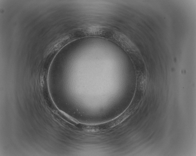 X0000085310746200703091445