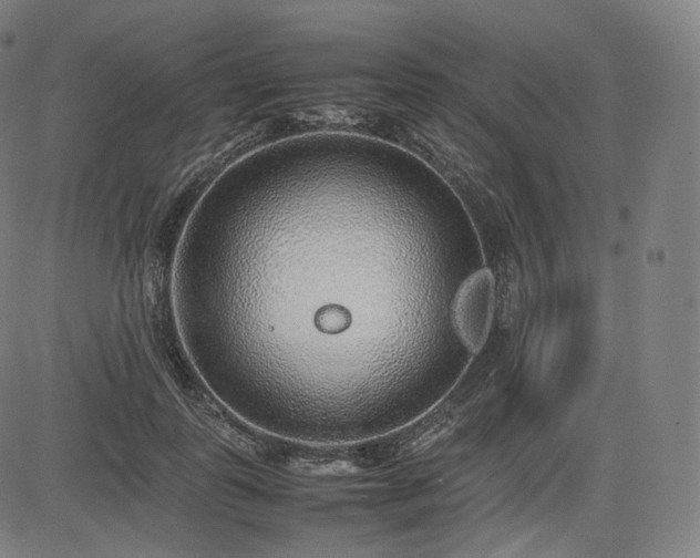 X0000085310747200703091445