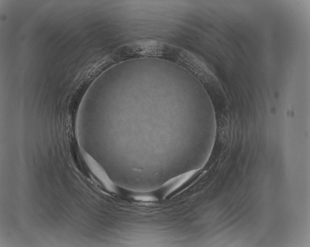 X0000085310748200703091445