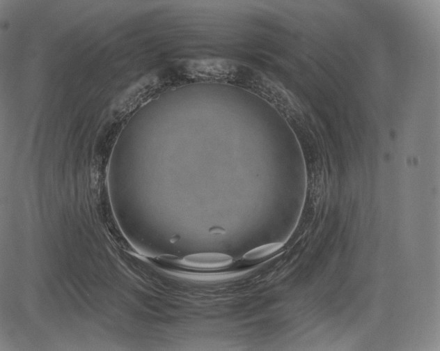 X0000085310749200703091445