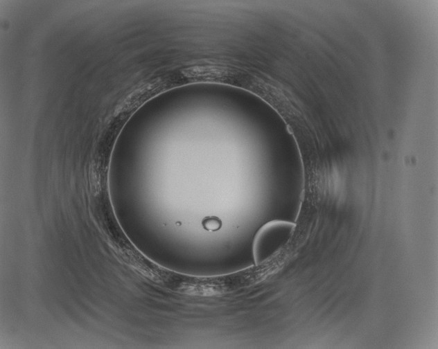 X0000085310751200703091445