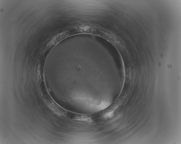 X0000085310754200703091445