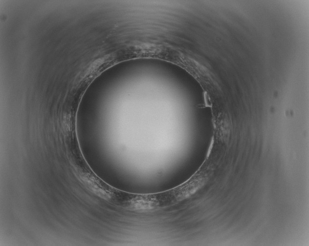 X0000085310756200703091445