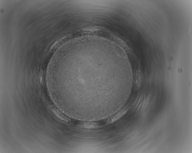 X0000085310758200703091445