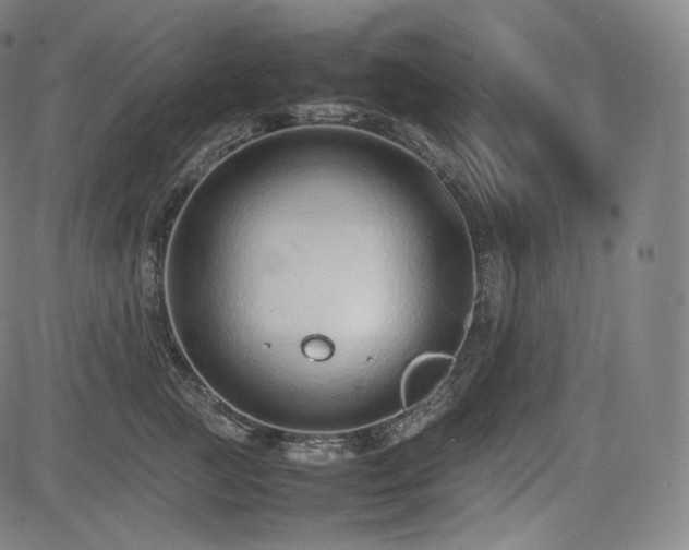 X0000085310761200703091445