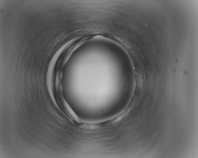 X0000085310766200703091445