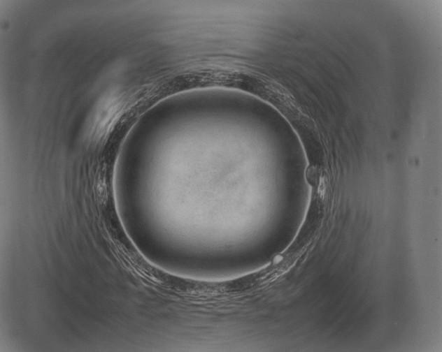 X0000085310771200703091445