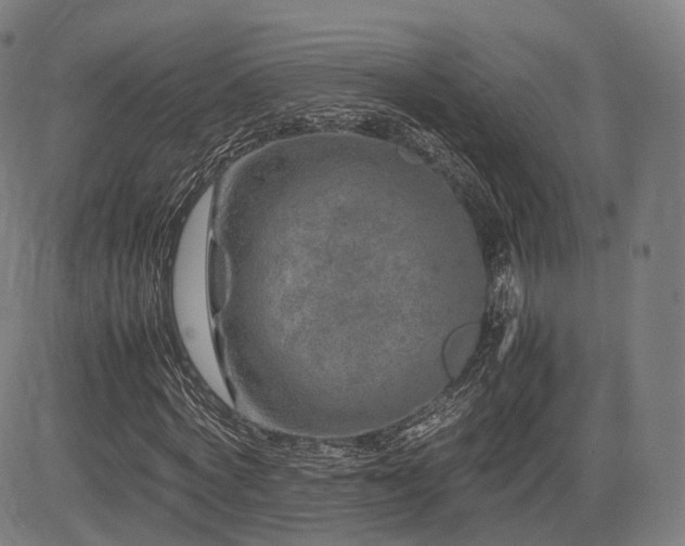 X0000085310772200703091445