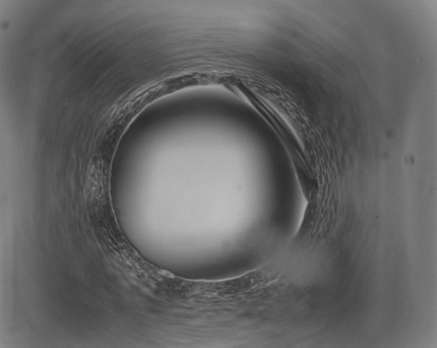 X0000085310773200703091445