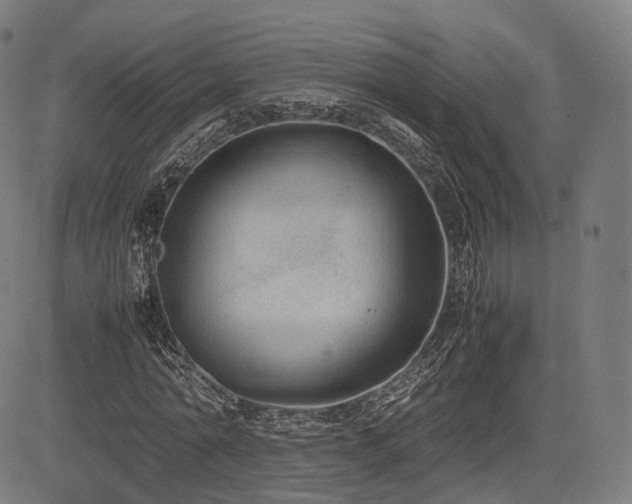 X0000085310774200703091445