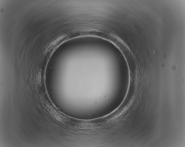 X0000085310777200703091445