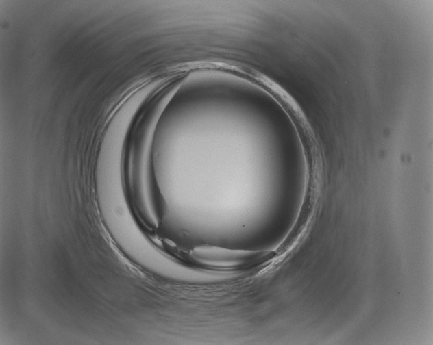 X0000085310809200703091444