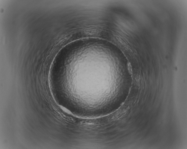 X0000085310817200703091443