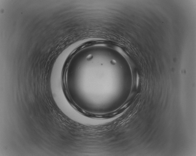 X0000085310818200703091443
