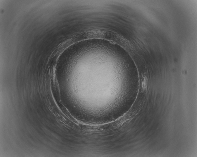 X0000085310819200703091443